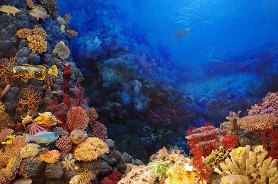 Three Best Dive Sites in Bali for Deep Diving