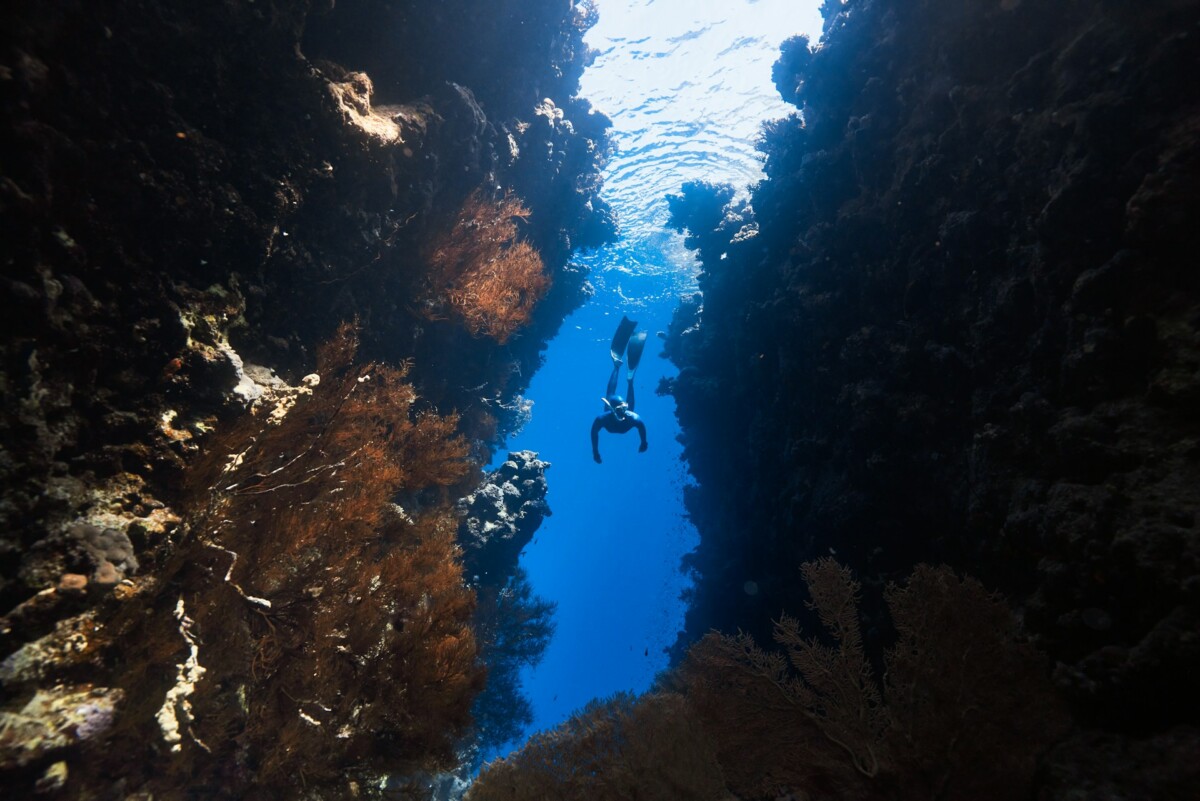 an underwater dive site